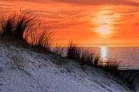 Orange Himmel bei Sonnenuntergang am Meer mit Dünen und Gras von Ben Schonewille Miniaturansicht