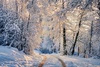 Winter time