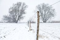 Winter landschap tijdens een vroege mistige ochtend van Sjoerd van der Wal Fotografie thumbnail