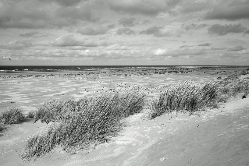 Meer und Dünenlandschaft von Terschelling von Helga Kuiper