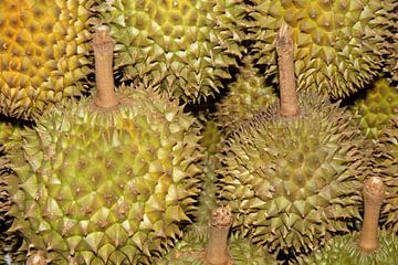 Durian durian (doerians) van Anne Ponsen