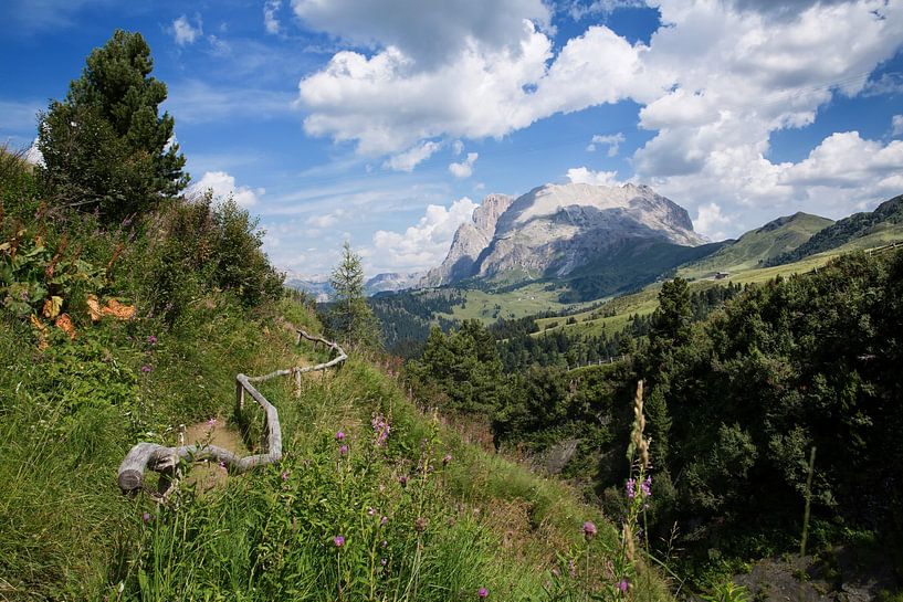 Wanderweg auf der Seiser Alm in Südtirol von Martina Weidner