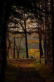 Der Herbst ist im Kommen von Inner Horizon