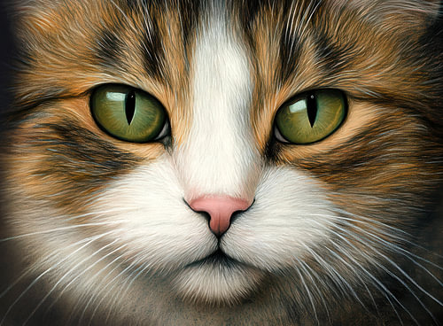 Unergründliche Augen