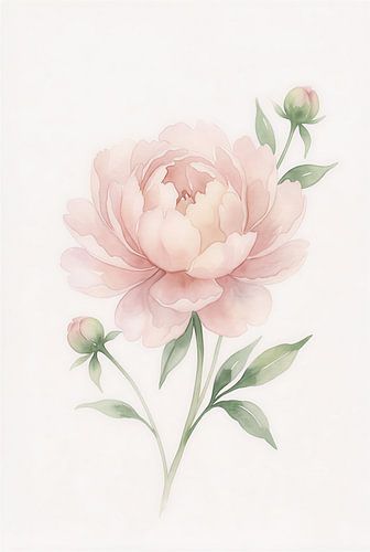 Kunstdruck im Aquarellstil: Zarte rosa Pfingstrose
