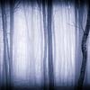 The Mist van Mark Vredeveld