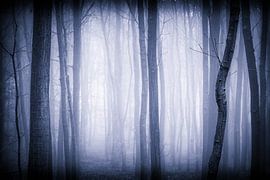 The Mist by Mark Vredeveld