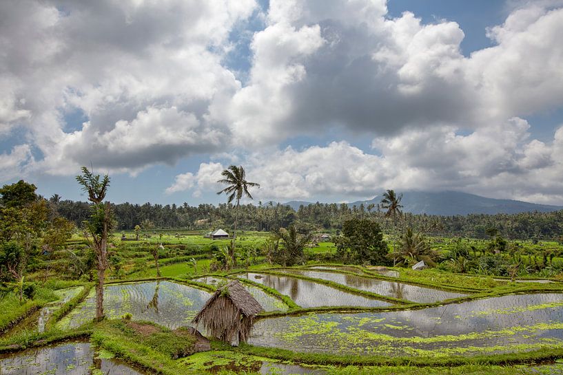 Bali rijstterrassen. De mooie en dramatische rijstvelden. Een echt inspirerend landschap. van Tjeerd Kruse
