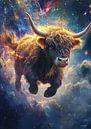 Hoogland koe van Niklas Maximilian thumbnail