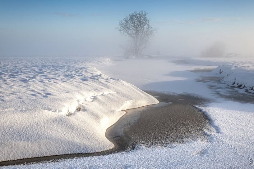 Winter in de Alblasserwaard van Ko Hoogesteger