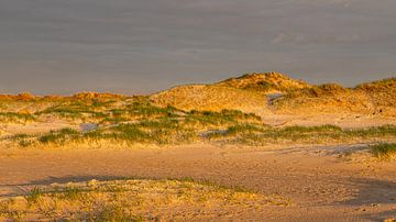 Duinen bij zonsondergang bij St. Peter Ording van Alexander Wolff