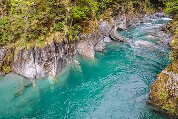 Blue Pools bij Haast Pass, Nieuw Zeeland van Christian Müringer