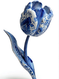 Tulip and Leaf in Delft Blue, Botanical Still Life by Wilma Mesman