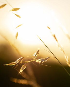 Coucher de soleil magique derrière une lame de foin sur Jochem van der Meer