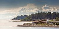 Kustlijn van Vancouver eiland  van Menno Schaefer thumbnail