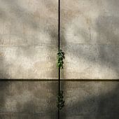 Concrete