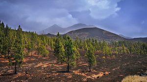 El Teide 2