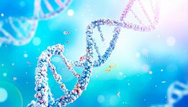 Atome, chemische Bindungen DNA