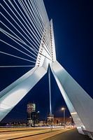 Erasmus Bridge in a special perspective