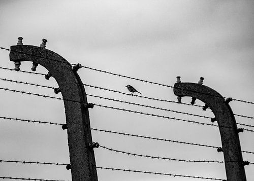 Opdat we nooit vergeten -08