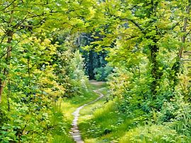 Verwunschener Waldpfad von Sergio Pazzano