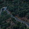 Chemin sinueux à travers une forêt de montagne dense sur Bob Janssen