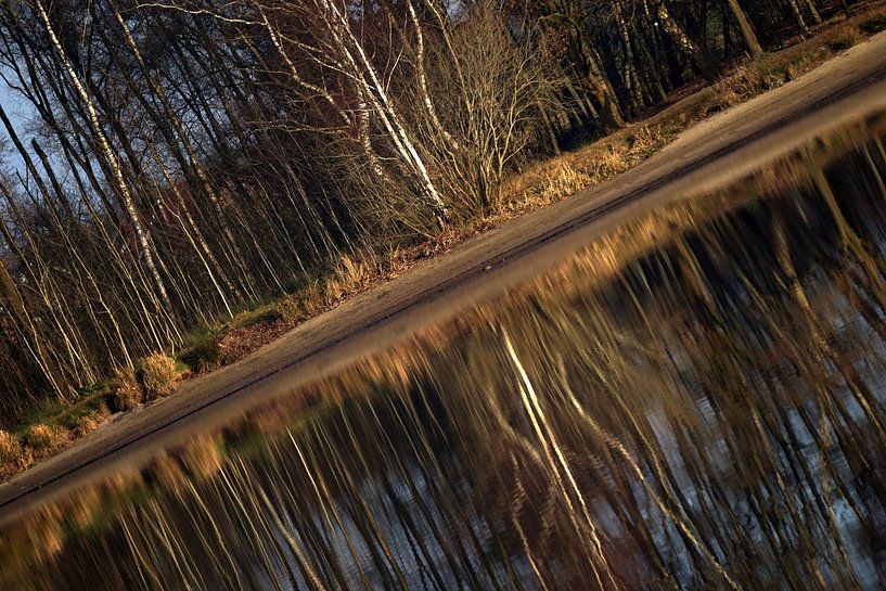 Reflexion von Karsten van Dam