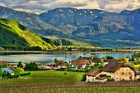 Lake Caldaro in South Tyrol