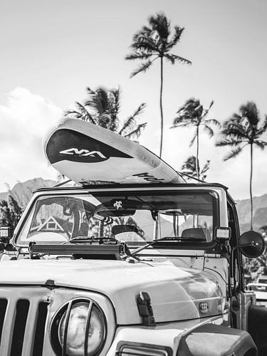 California Beach Cruiser Kunstdruck