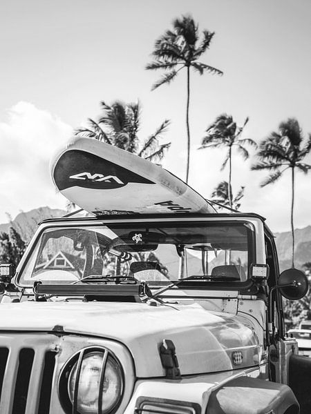 California Beach Cruiser Kunstdruck von Dagmar Pels