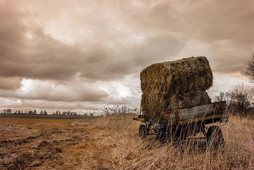 Cart with straw suits