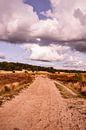 Heath View Cloudy Sky 4 - Loonse en Drunense Duinen von Deborah de Meijer Miniaturansicht