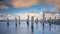 Palendorp Petten tijdens zonsondergang. par Menno Schaefer Aperçu