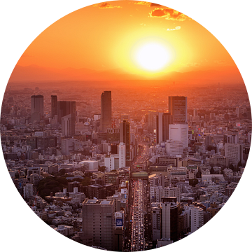 Tokyo Sunset  van Sander Peters