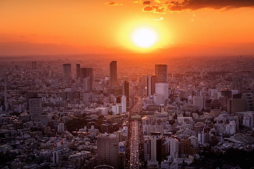 Tokyo Sunset  van Sander Peters