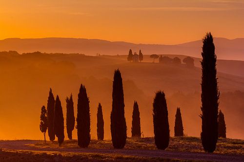 Magical morning in Tuscany