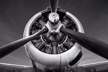 propeller by Frank Peters