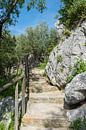 stenen trap bij oud kasteel in Spanje van ChrisWillemsen thumbnail