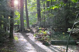 Sun and Rain by Studio Retouched fotoshop