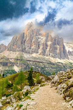 Path near the Tofana di Rozes mountain in the Dolomites during s by Sjoerd van der Wal Photography