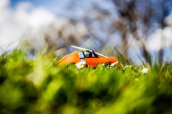 Thimo Targa flower power