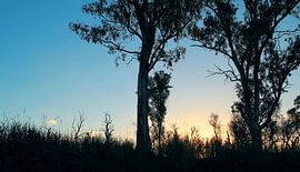 Fluisteringen van de schemering van Inspiration