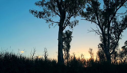 Flüstern der Abenddämmerung von Inspiration