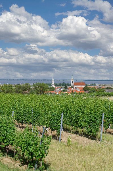 Le village viticole de Rust sur le lac de Neusiedl par Peter Eckert