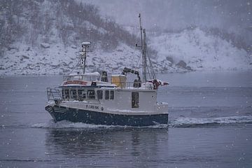 Lofotenvissers van Kai Müller