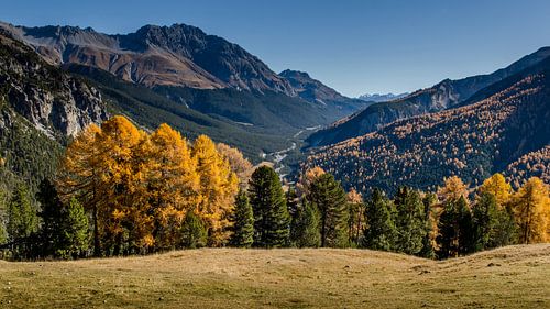 View of the Val Müstair in autumn colors from the Ofenpass