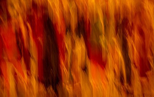 Les gens qui marchent...