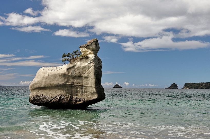 Coromandel : Un paradis sculpté par la nature par Frank Photos