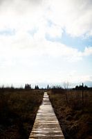 Vlonderpad door Moorland onder Wolkenlucht