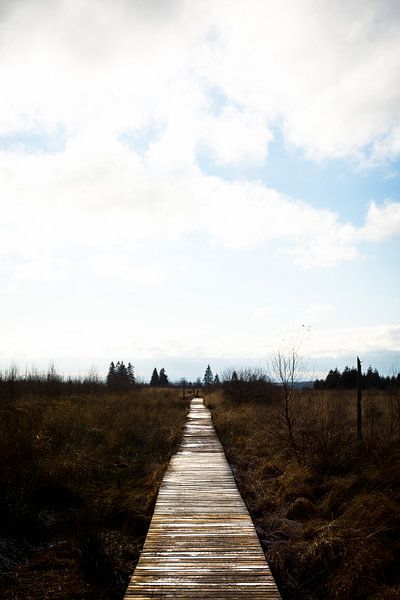 Vlonderpad door Moorland onder Wolkenlucht van DiJa Photography